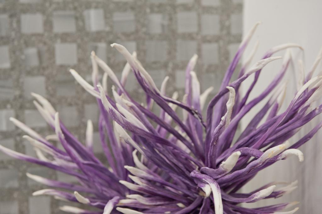 Iris Appartement *
